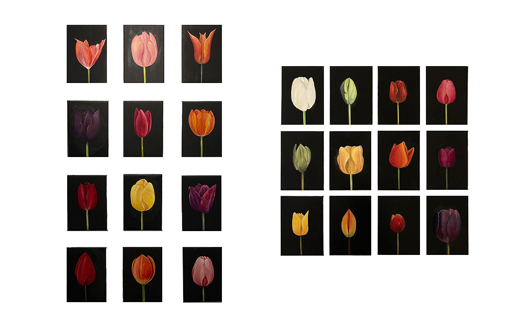 tulip installation by patrice moor