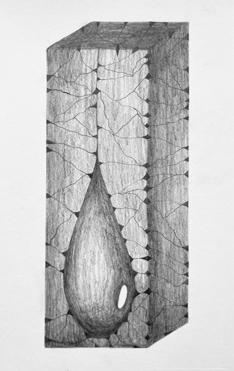 drawing by patrice moor