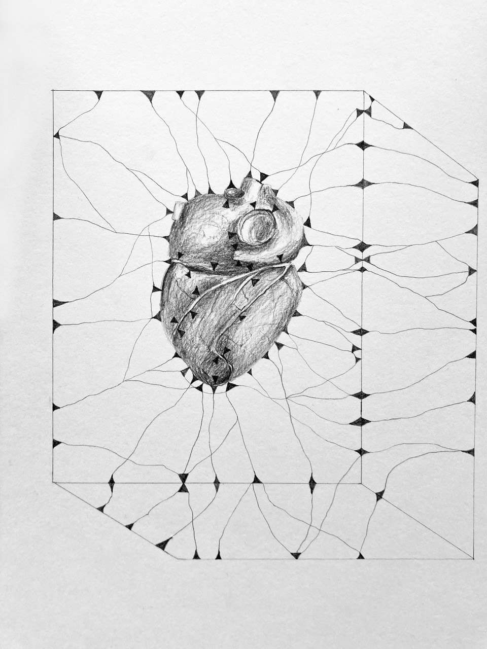 drawing by patrice moor
