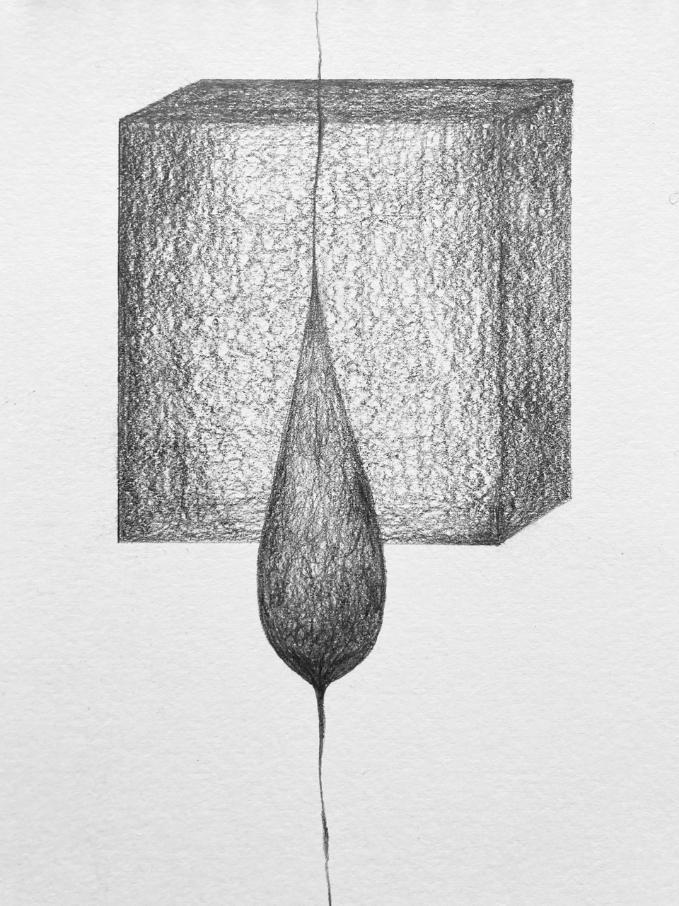 drawing by patrice moor