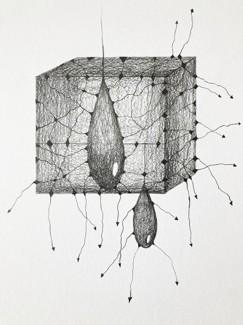 drawing by patrice moor