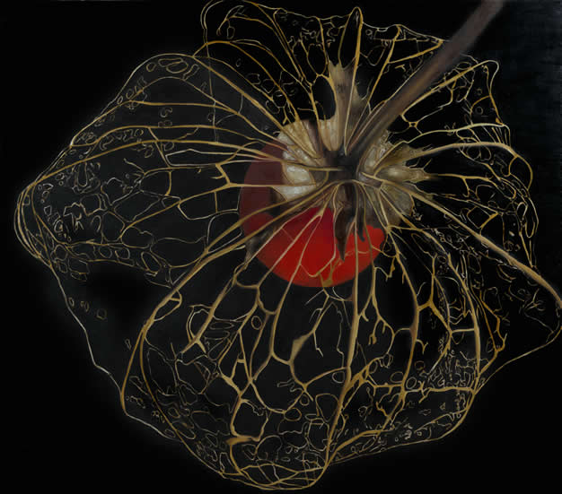 chinese lantern by patrice moor