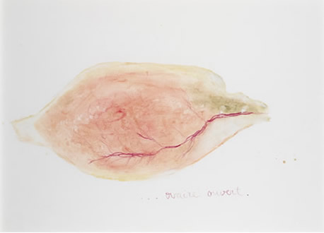 ovary by patrice moor