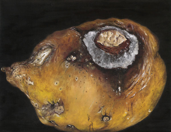 artichoke by patrice moor