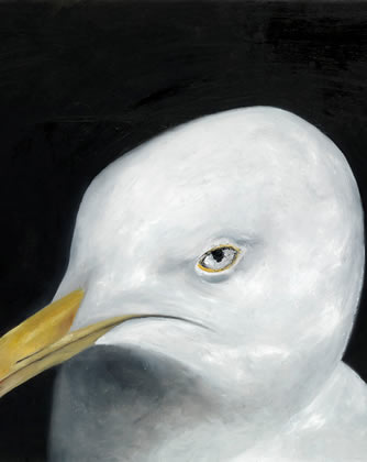 seagull by patrice moor
