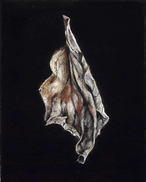 Leaf 4  by Patrice Moor