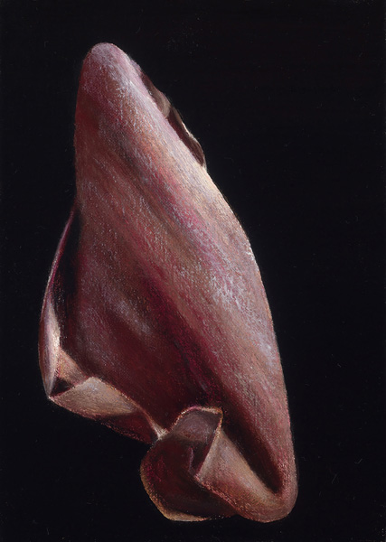 Leaf 8  by Patrice Moor