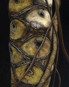 painting by patrioce moor